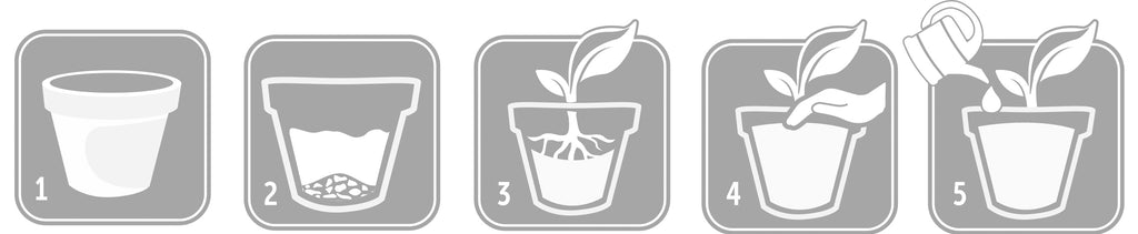 Spezial-Blumen-Erde Terra Magma 60 l