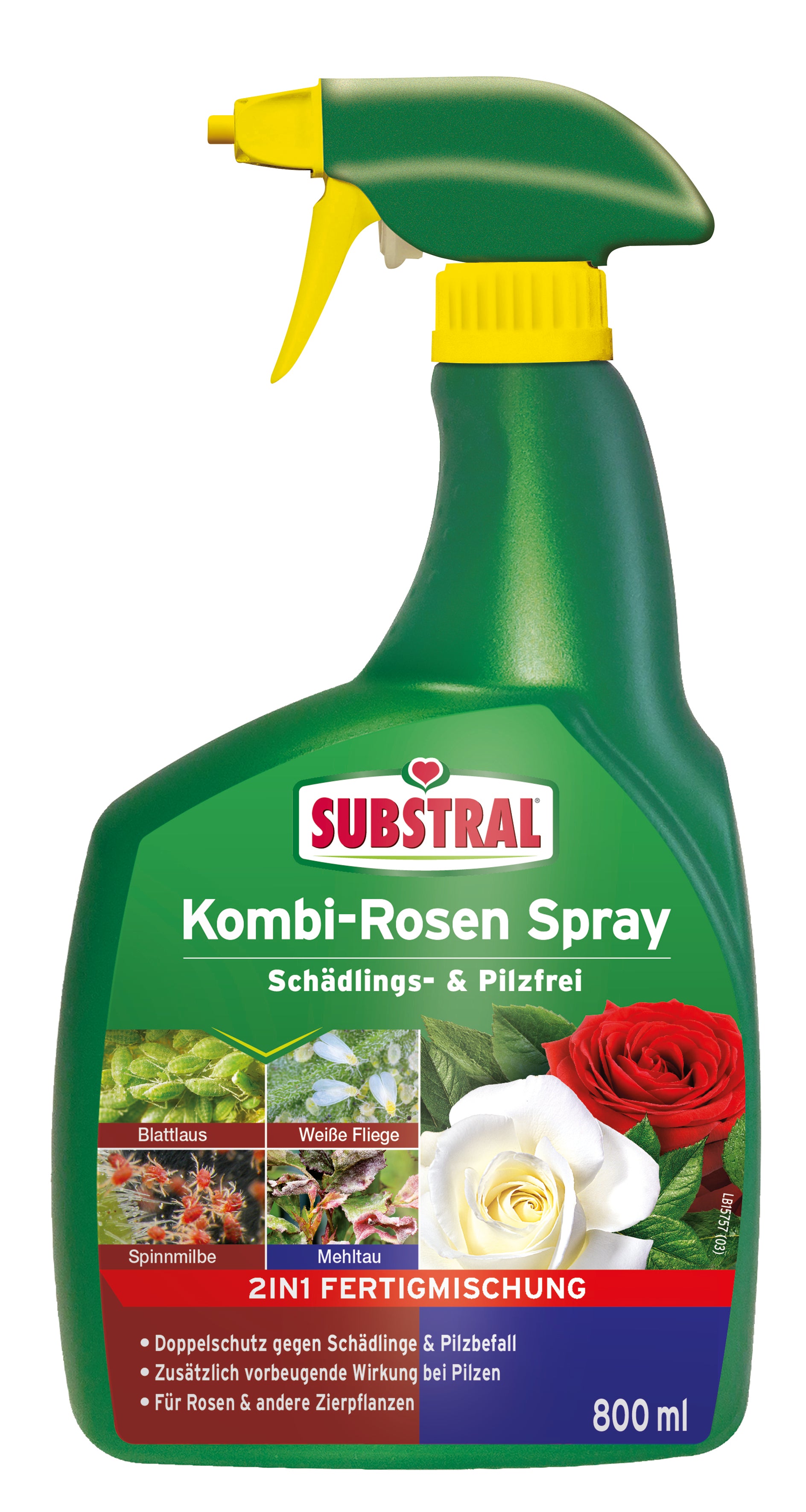 Kombi Rosen Spray