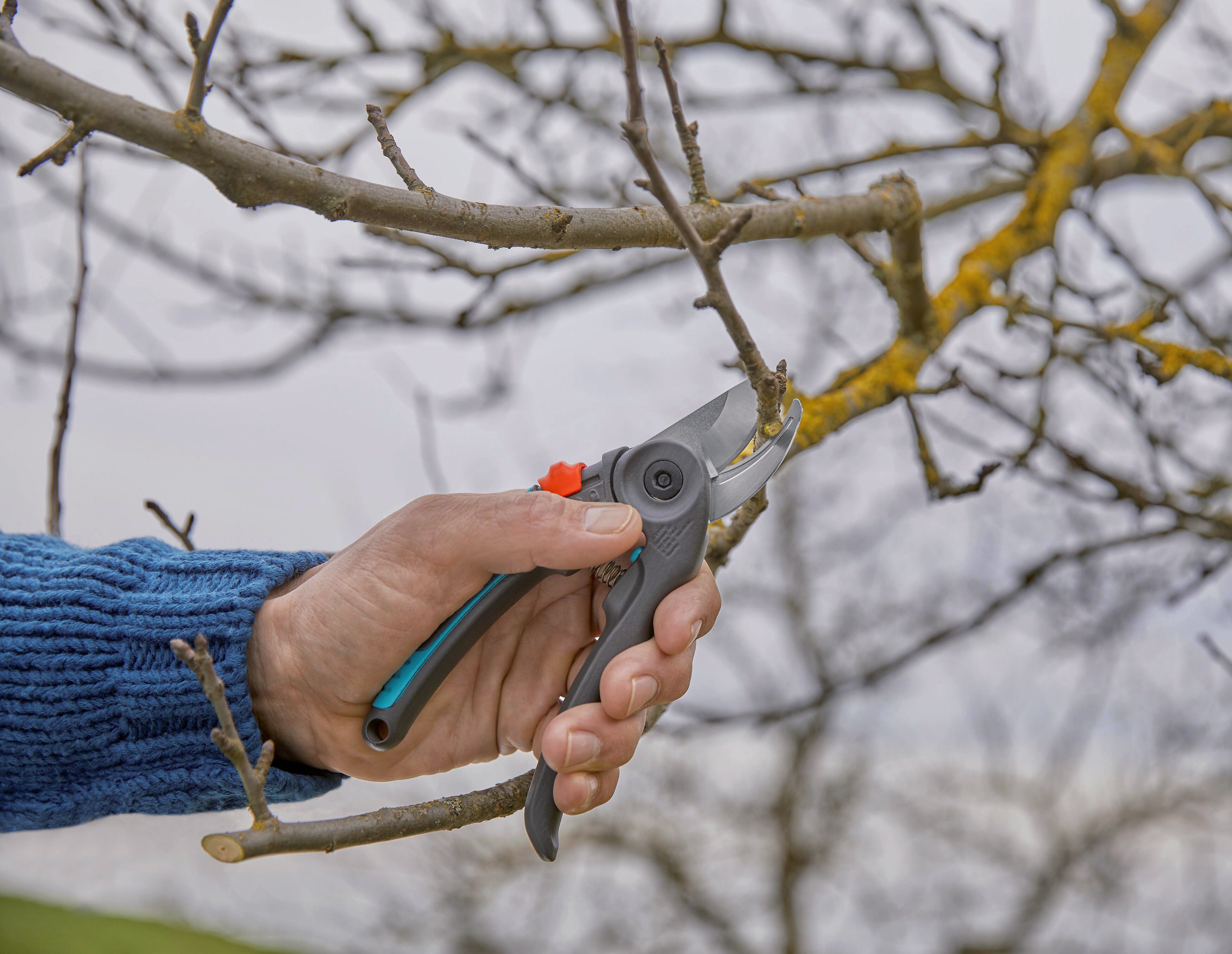 Gartenschere ExpertCut-Aktion