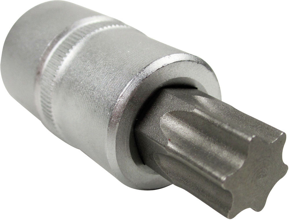 Torx-Nuss 1/2" T60