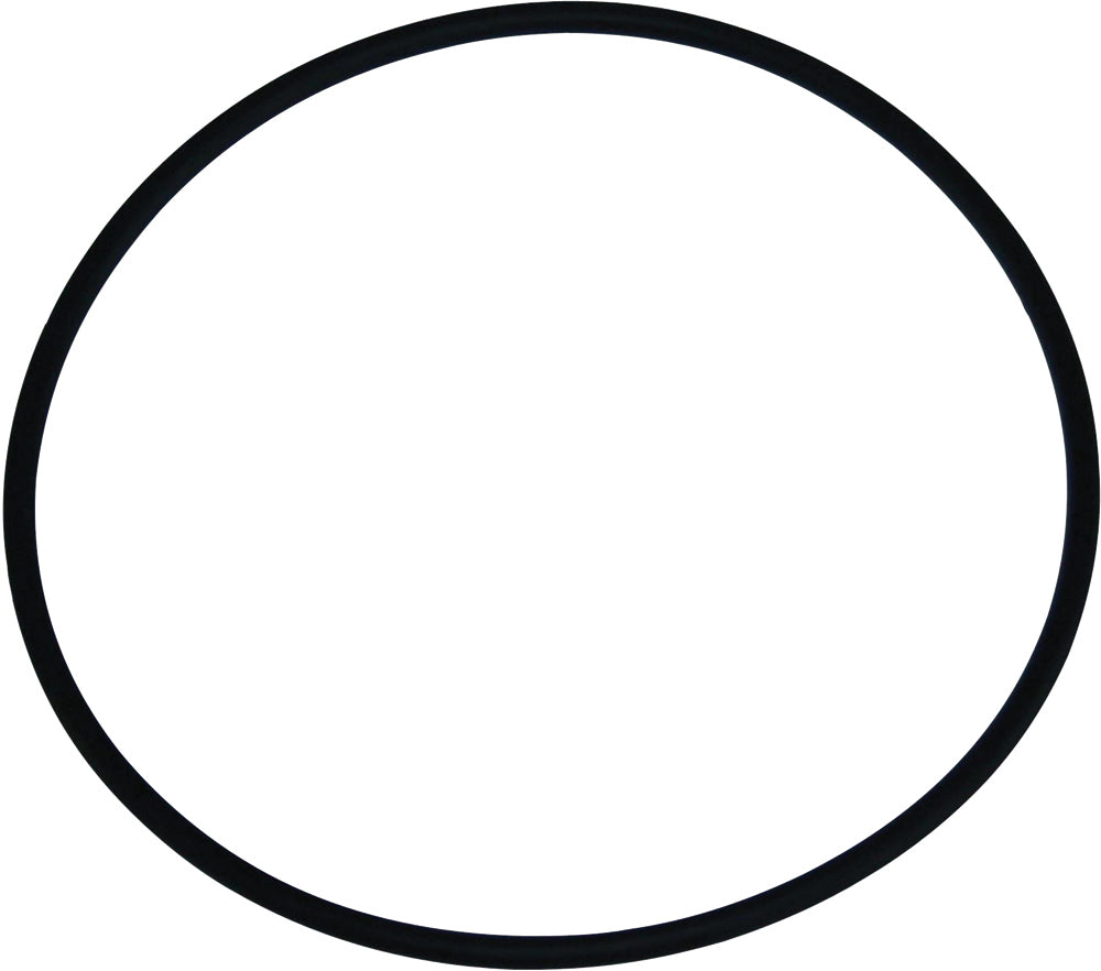 Dichtring