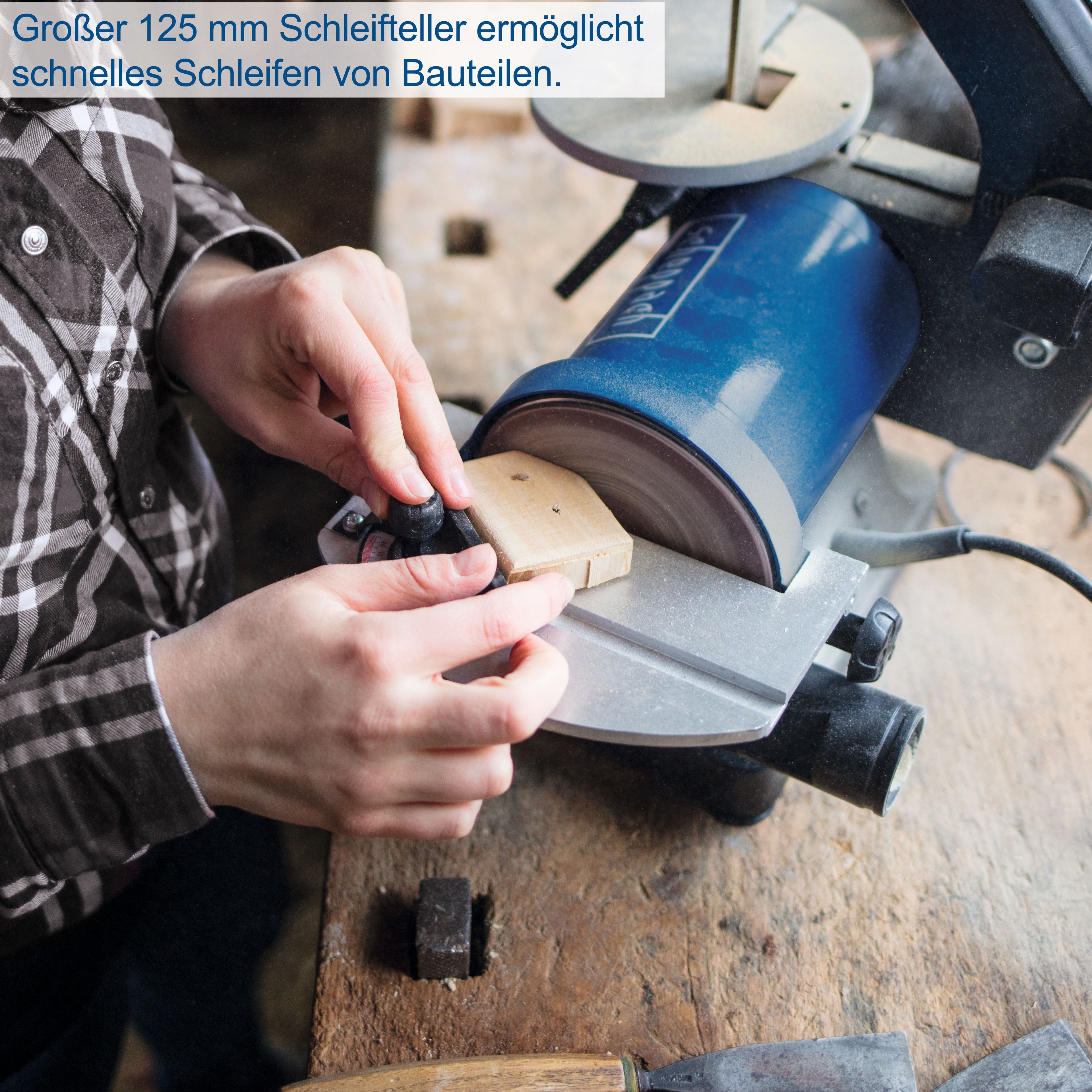 Stand-, Band- und Tellerschleifer BTS700