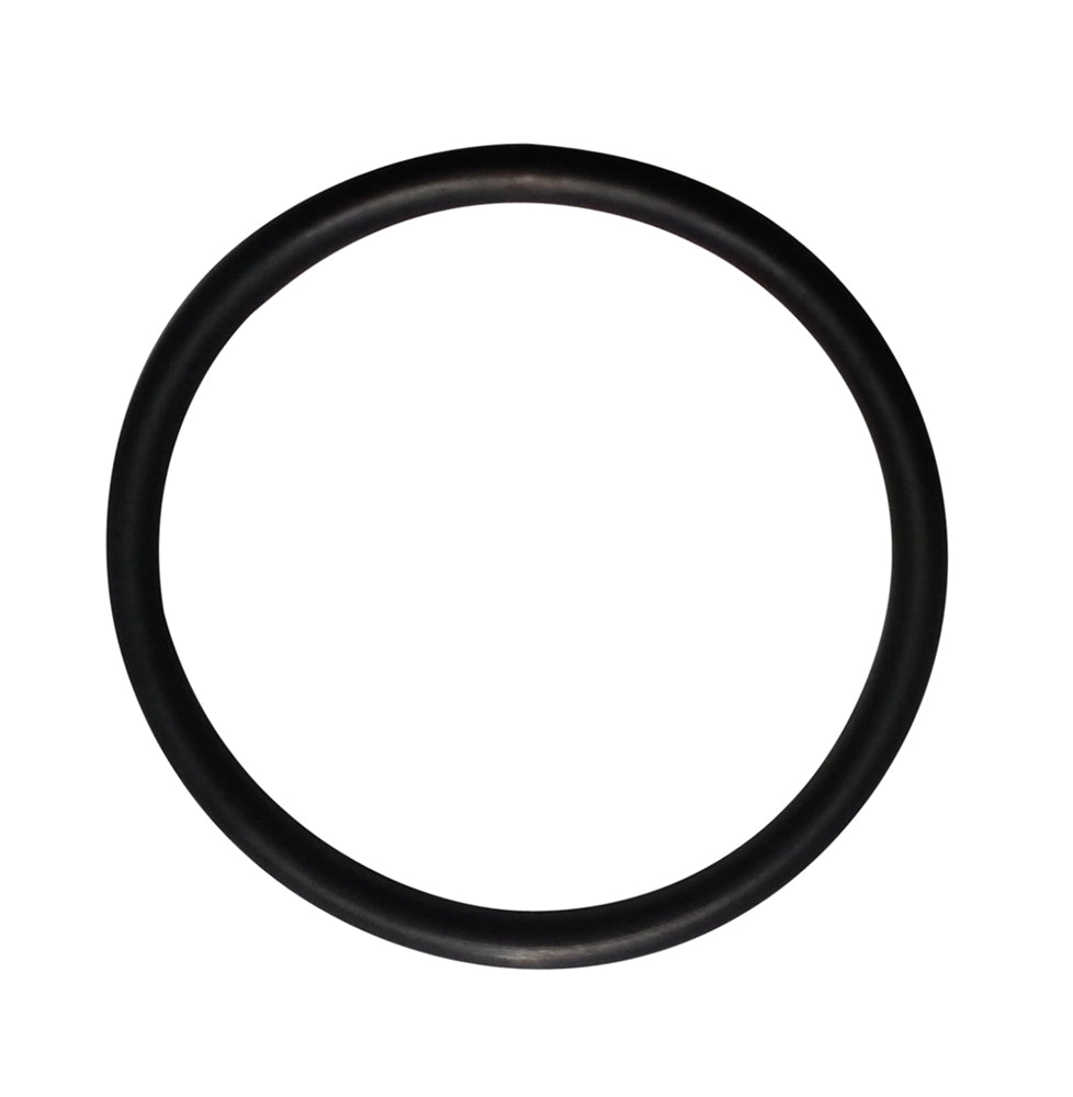O-Ring für Diffuser