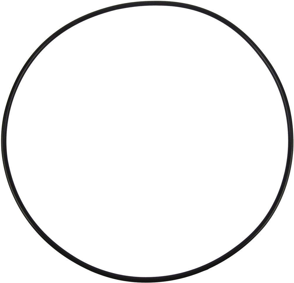 O-Ring groß