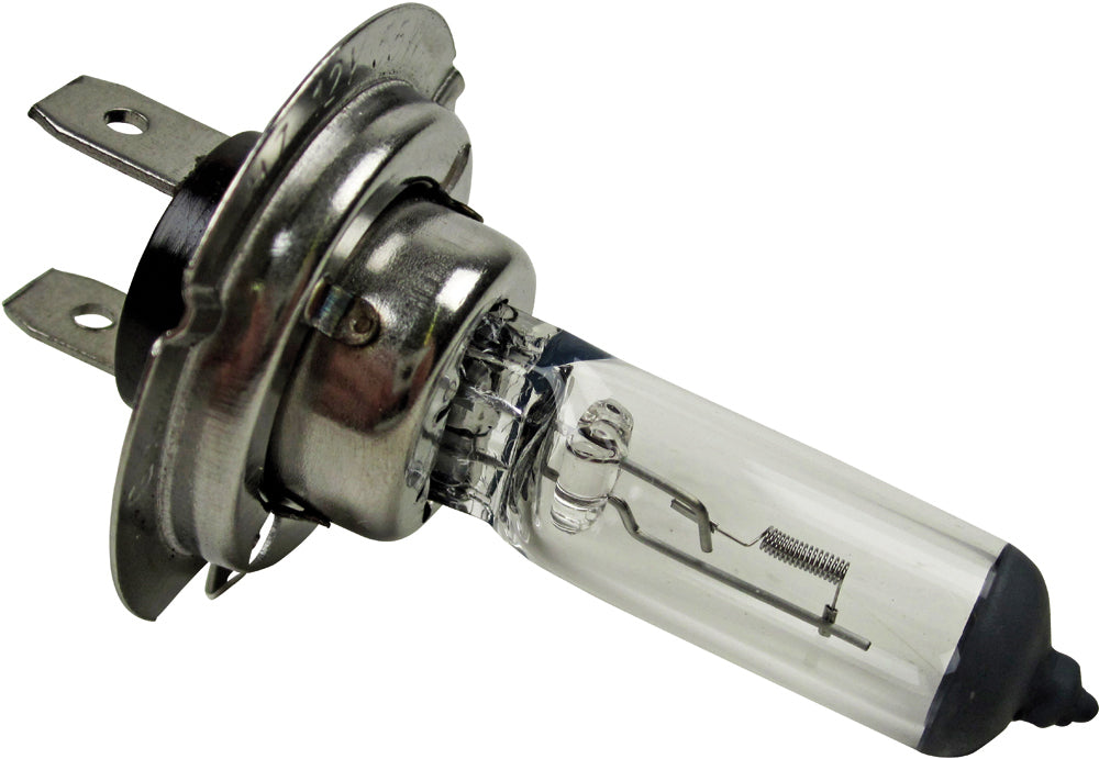 Halogen-Autolampe H 7, 12 V, 55 W