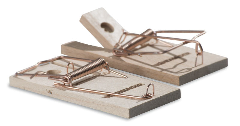 2 Mausefallen aus Holz