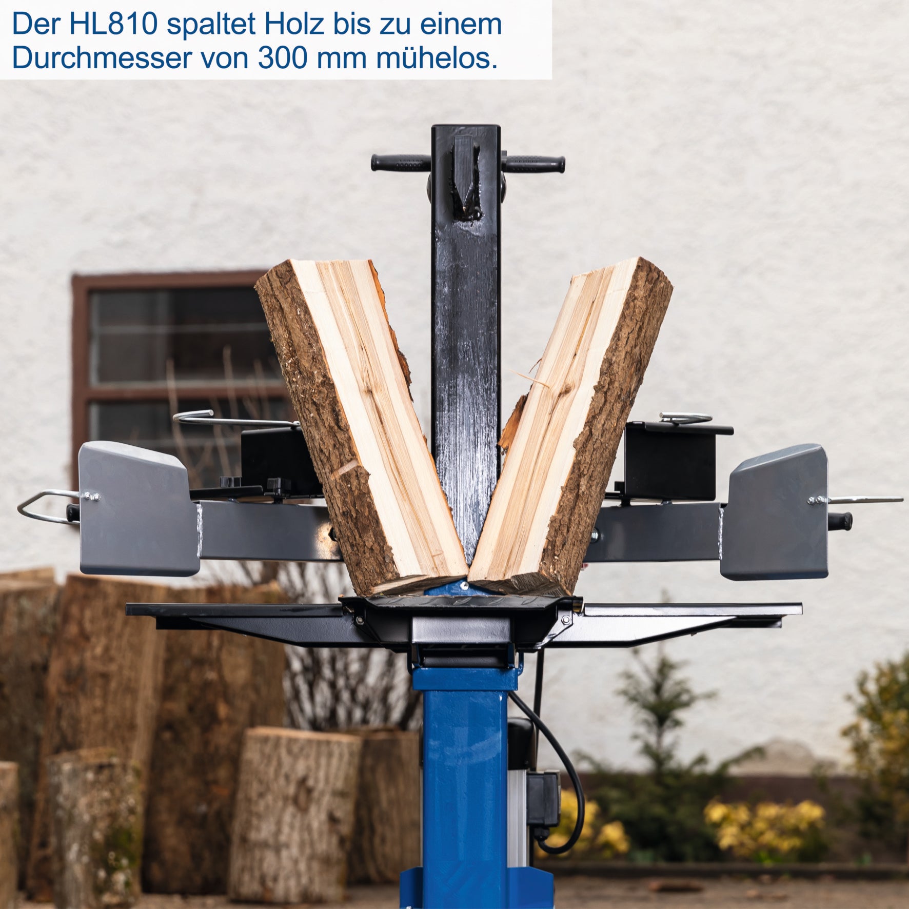 Holzspalter HL810