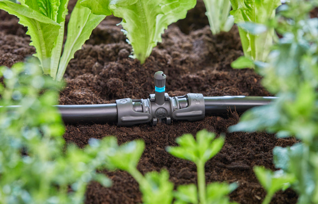 5 Micro-Drip-System T-Stücke für Sprühdüsen 13 mm (1/2")