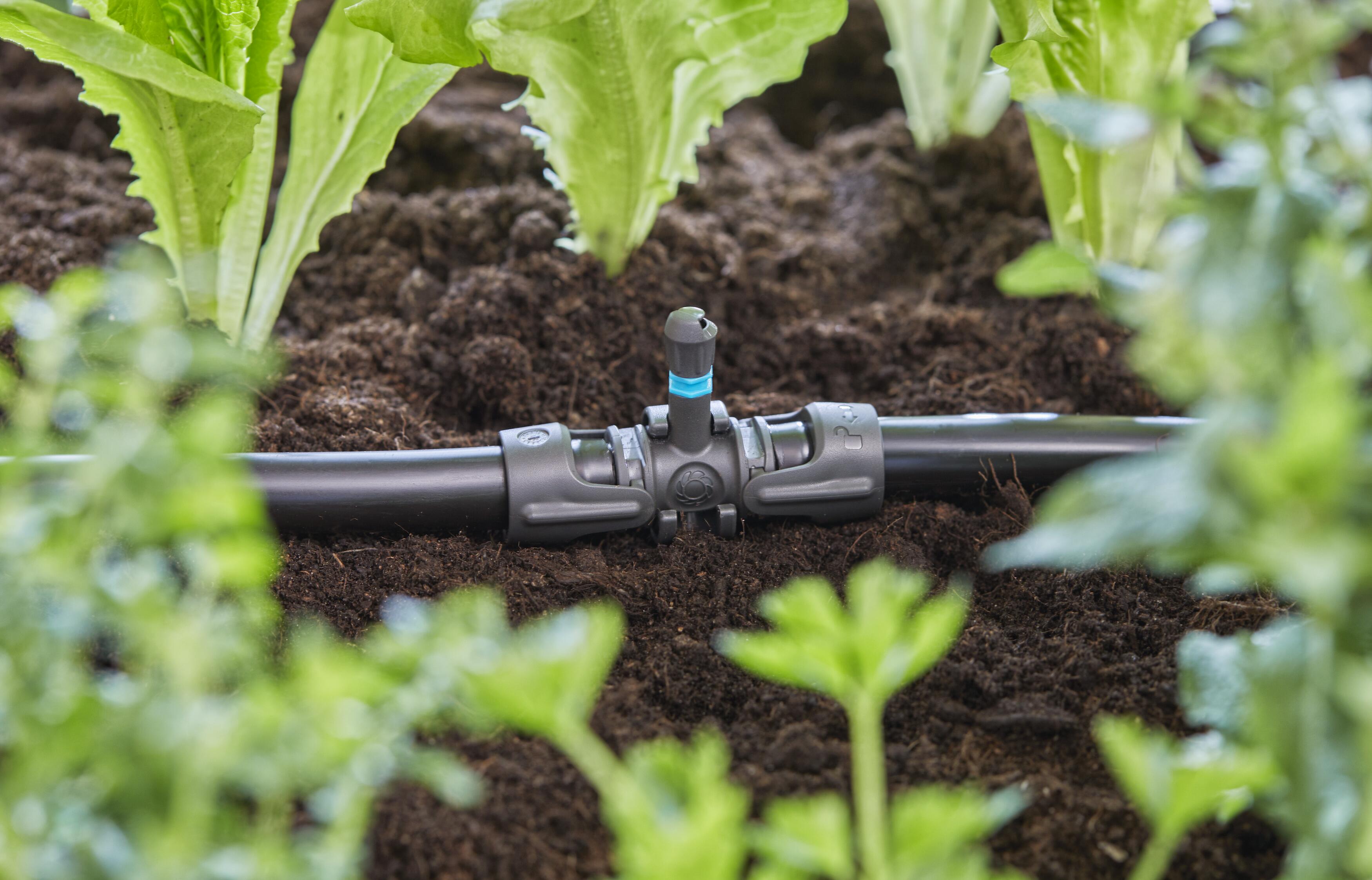 5 Micro-Drip-System T-Stücke für Sprühdüsen 13 mm (1/2")