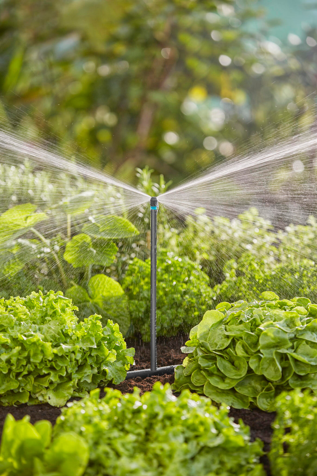 5 Micro-Drip-System Verlängerungsrohre für Sprühdüsen