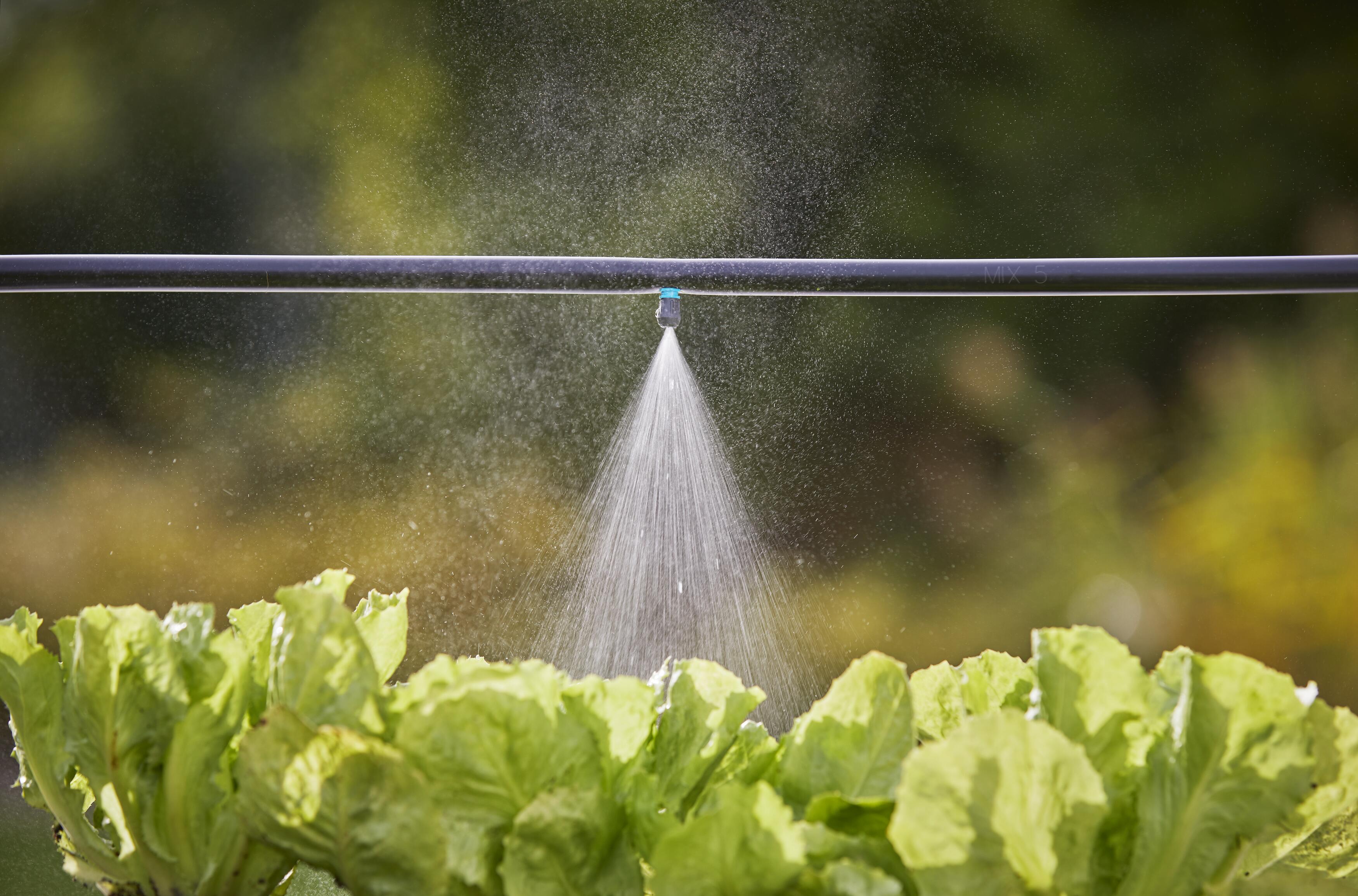 5 Micro-Drip-System Nebeldüsen
