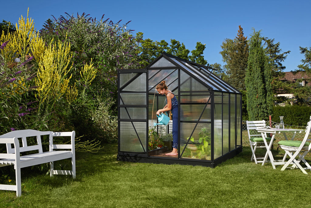 Gewächshaus Comet 5000 HKP4mm, schwarz - Set