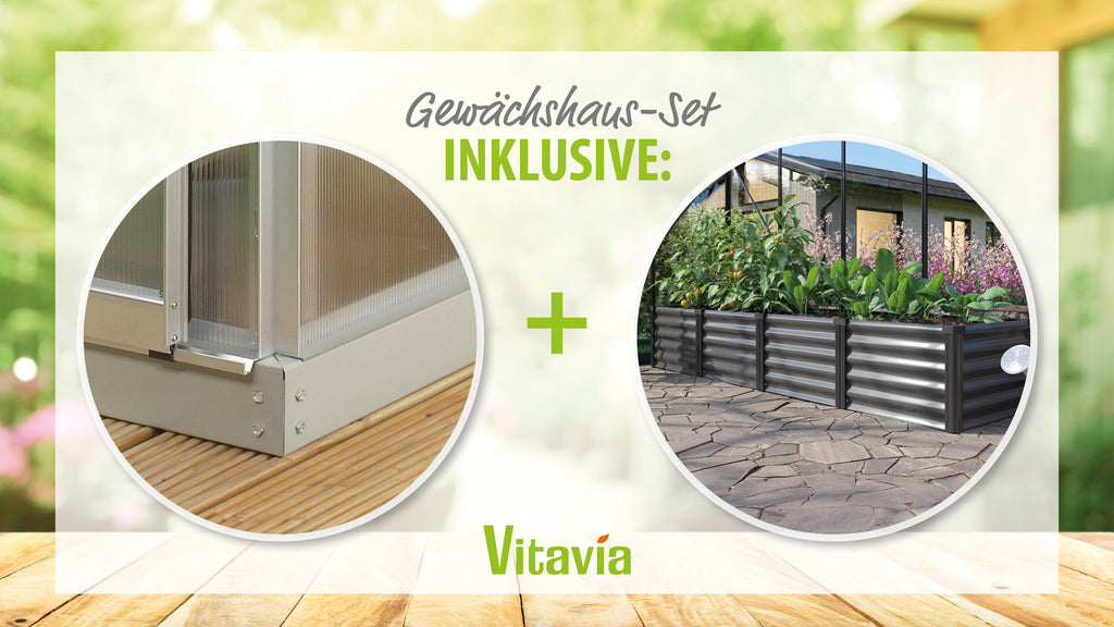 Gewächshaus Uranus 11500 HKP 6mm - Set