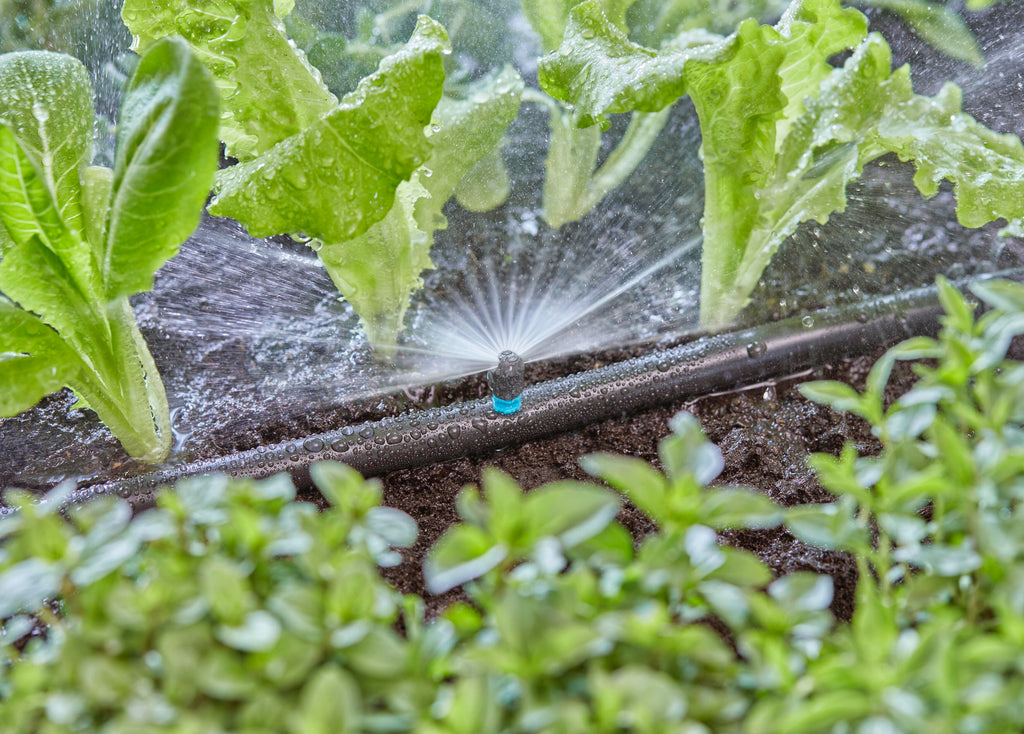 5 Micro-Drip-System Sprühdüsen 180 Grad