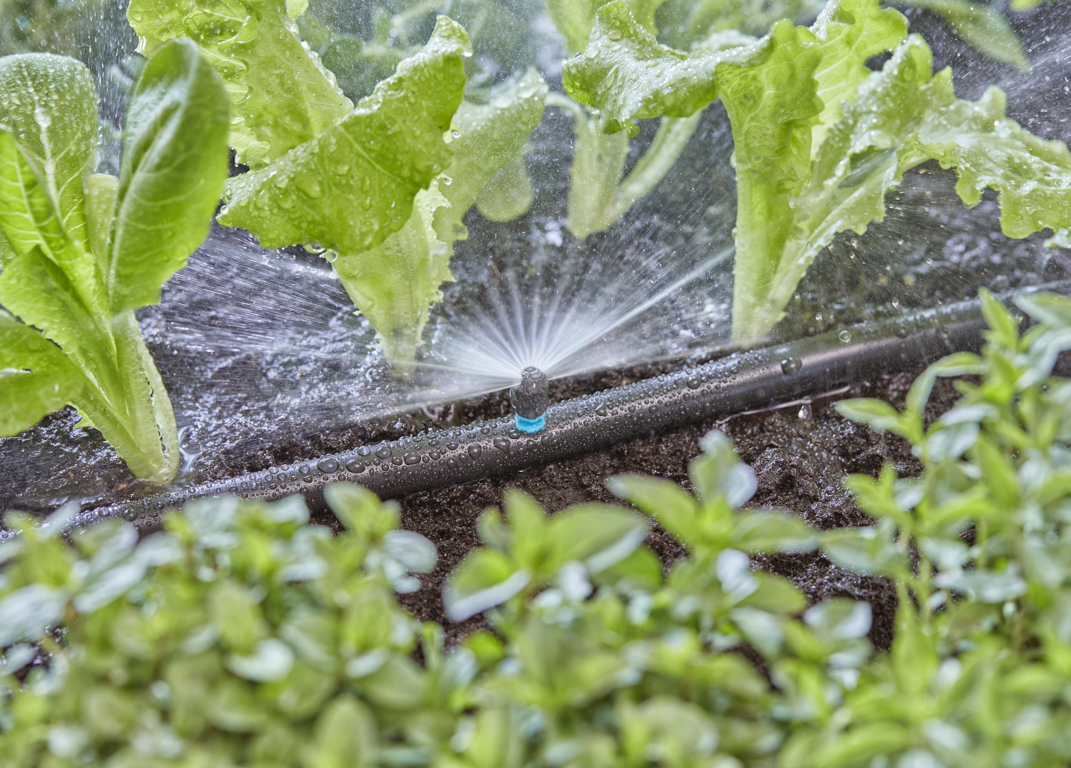 5 Micro-Drip-System Sprühdüsen 180 Grad