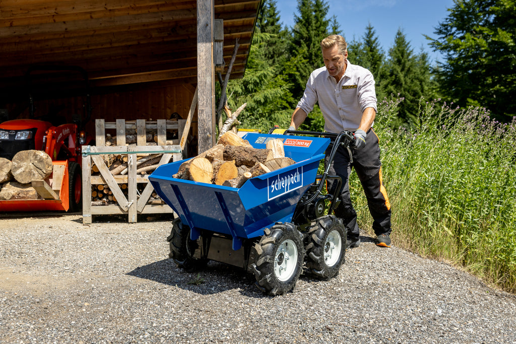 Mini-Dumper DP3000
