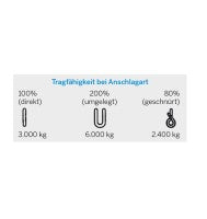 Hebeband 2t, 4m, gruen, EN 1492-1 (GS-Tuev)