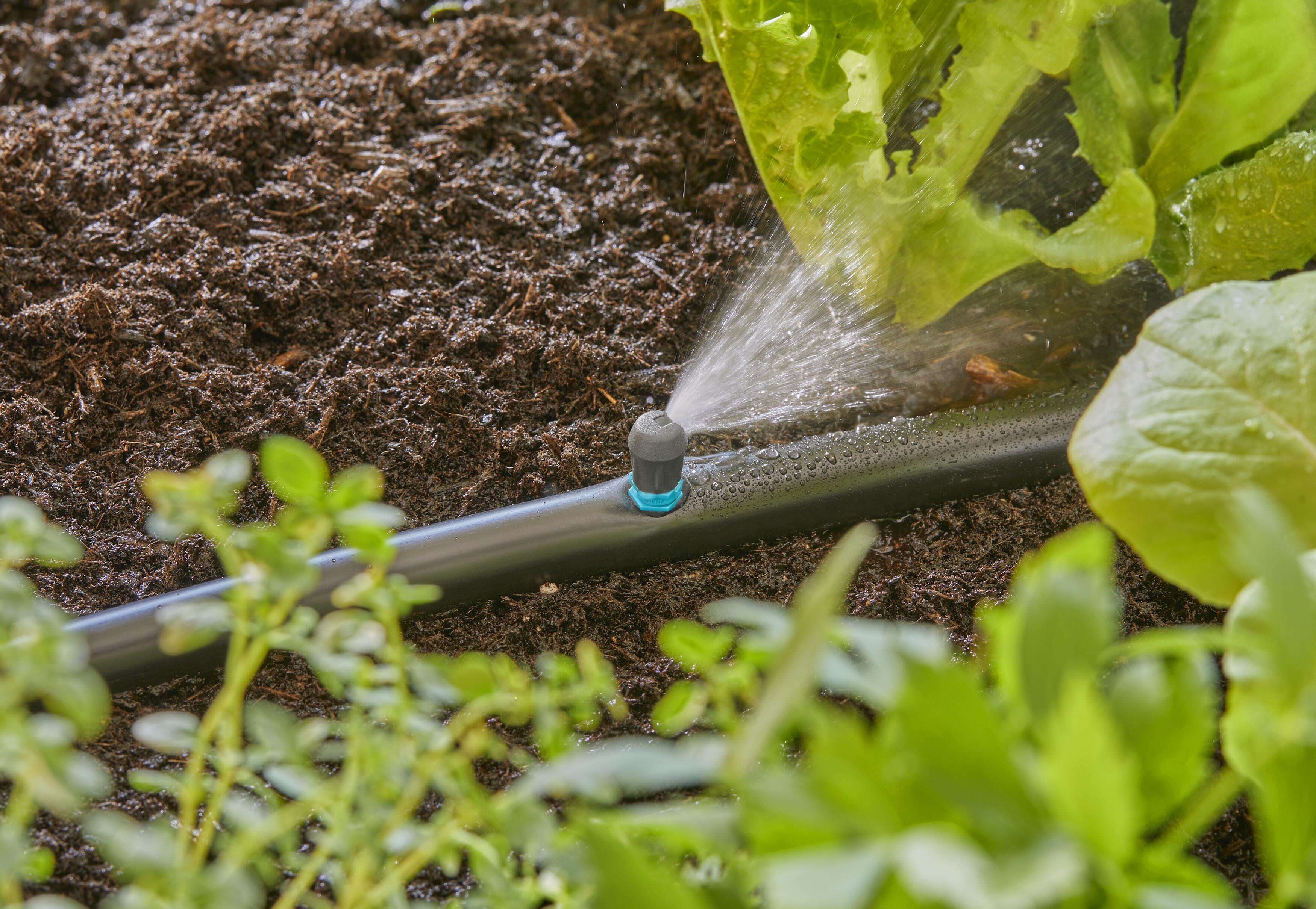 5 Micro-Drip-System Endstreifendüsen