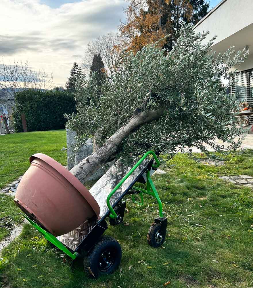 Elektrische Sackrodel ZI-ET260