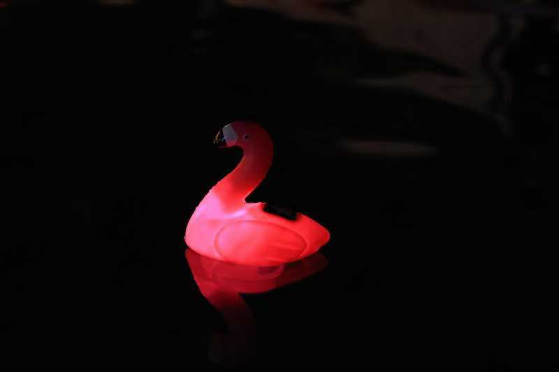 LED Chlordosierer Flamingo