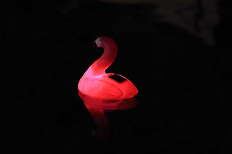 LED Chlordosierer Flamingo